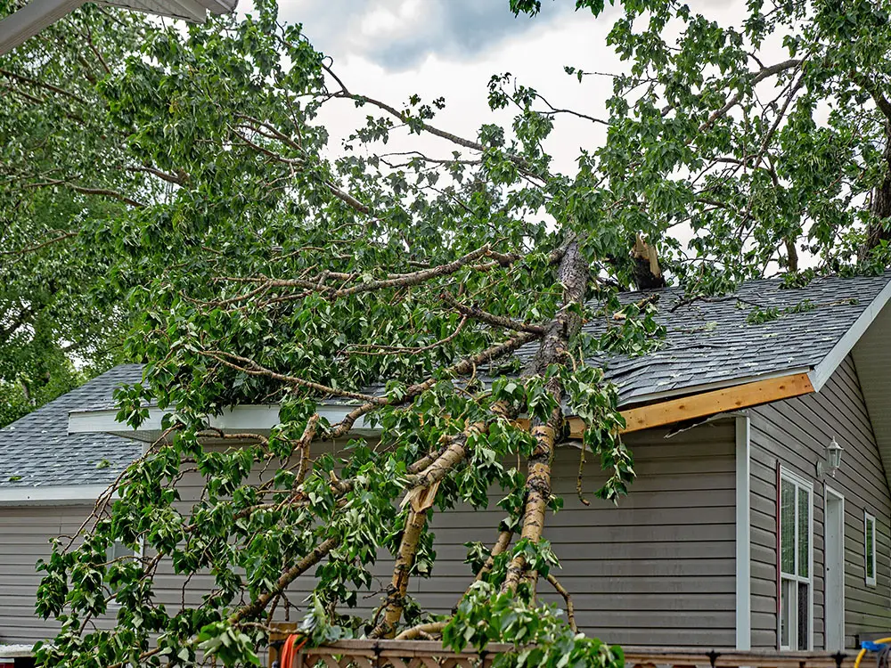 storm damaged roof in collinsville illinois